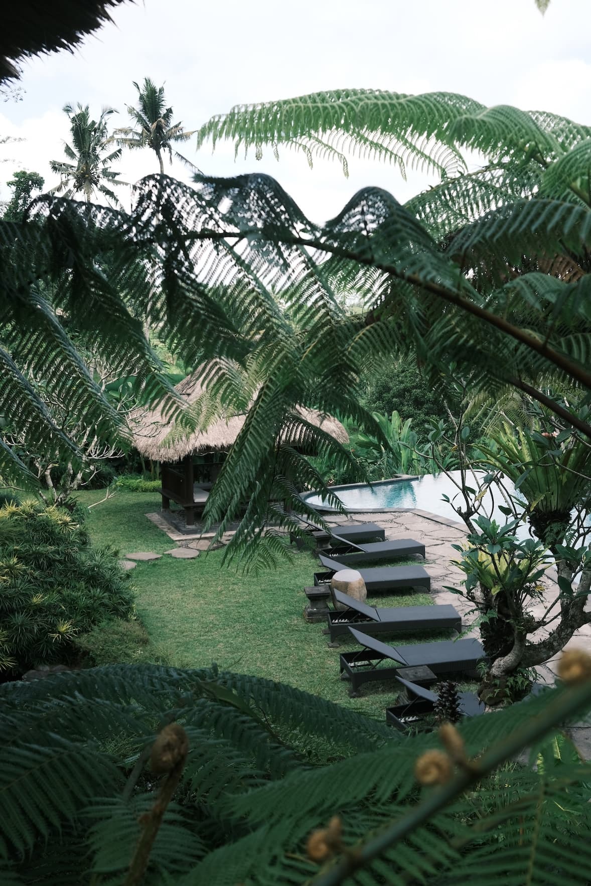 Villa pool view