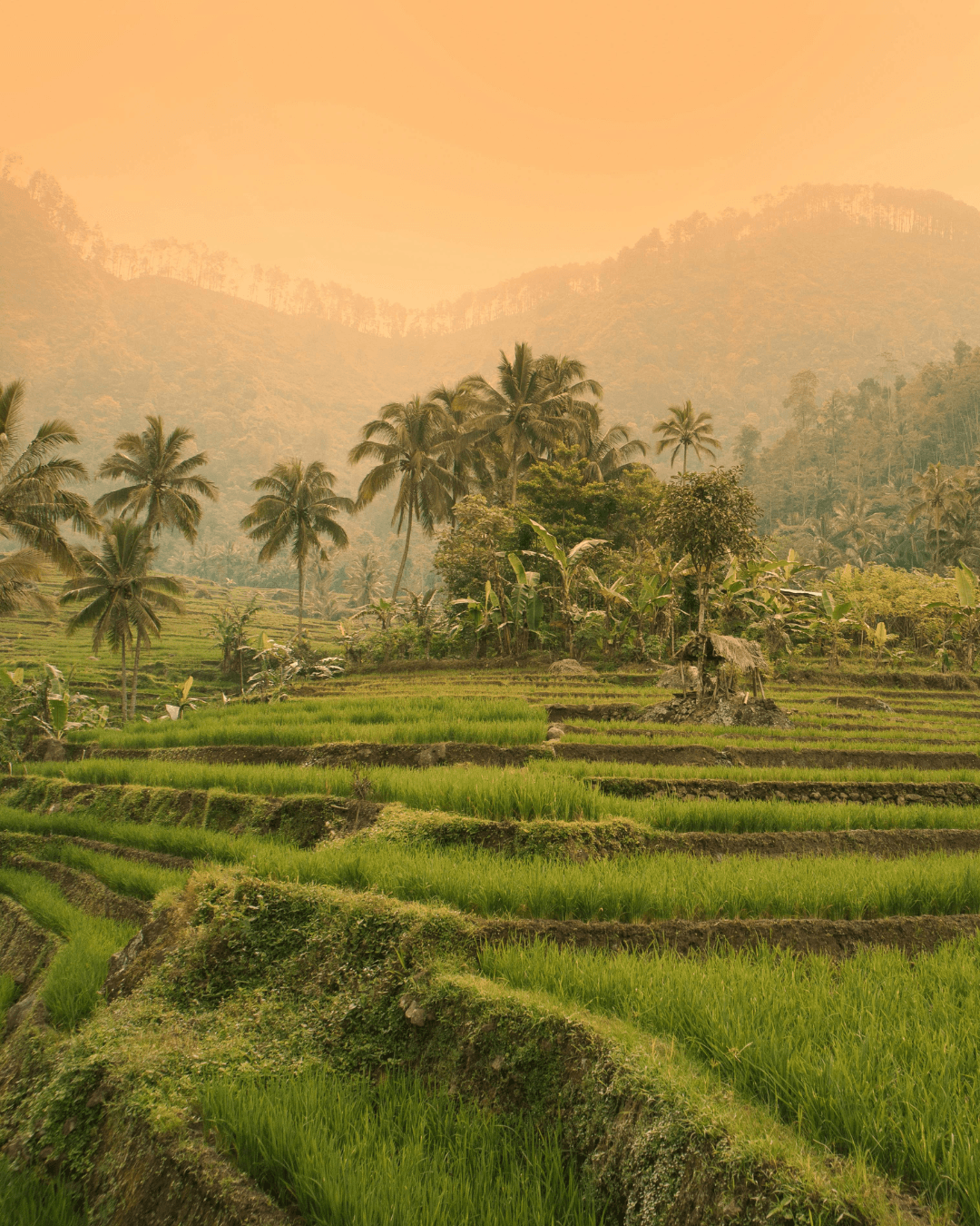 Bali 峇里島家族排列旅修營
