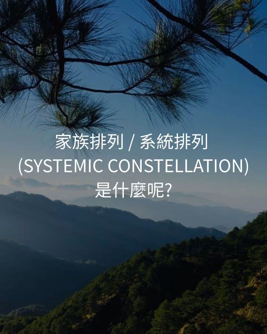 晨光中的山林與松枝，前景松針剪影，遠方層疊的山巒——家族排列／系統排列主視覺